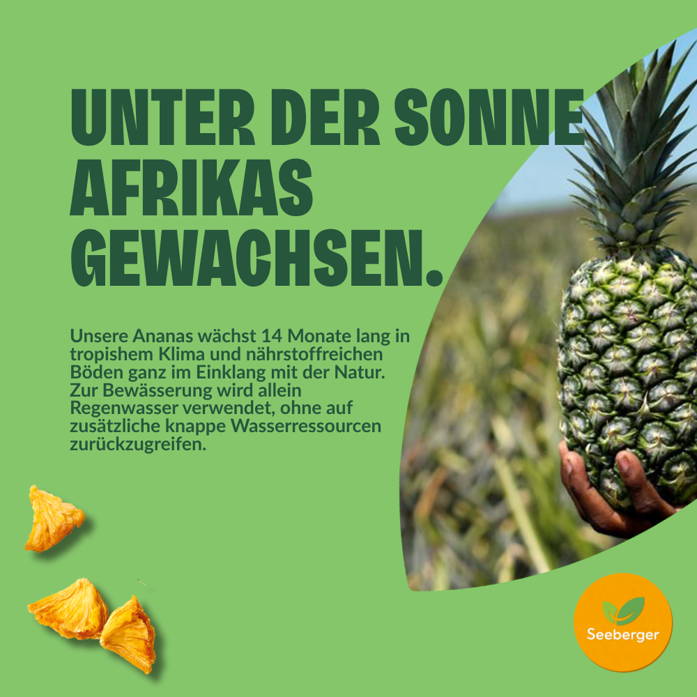 seeberger-silver-label-ananas-s-ch-6x100-g-sans-sucre-ajout image 4