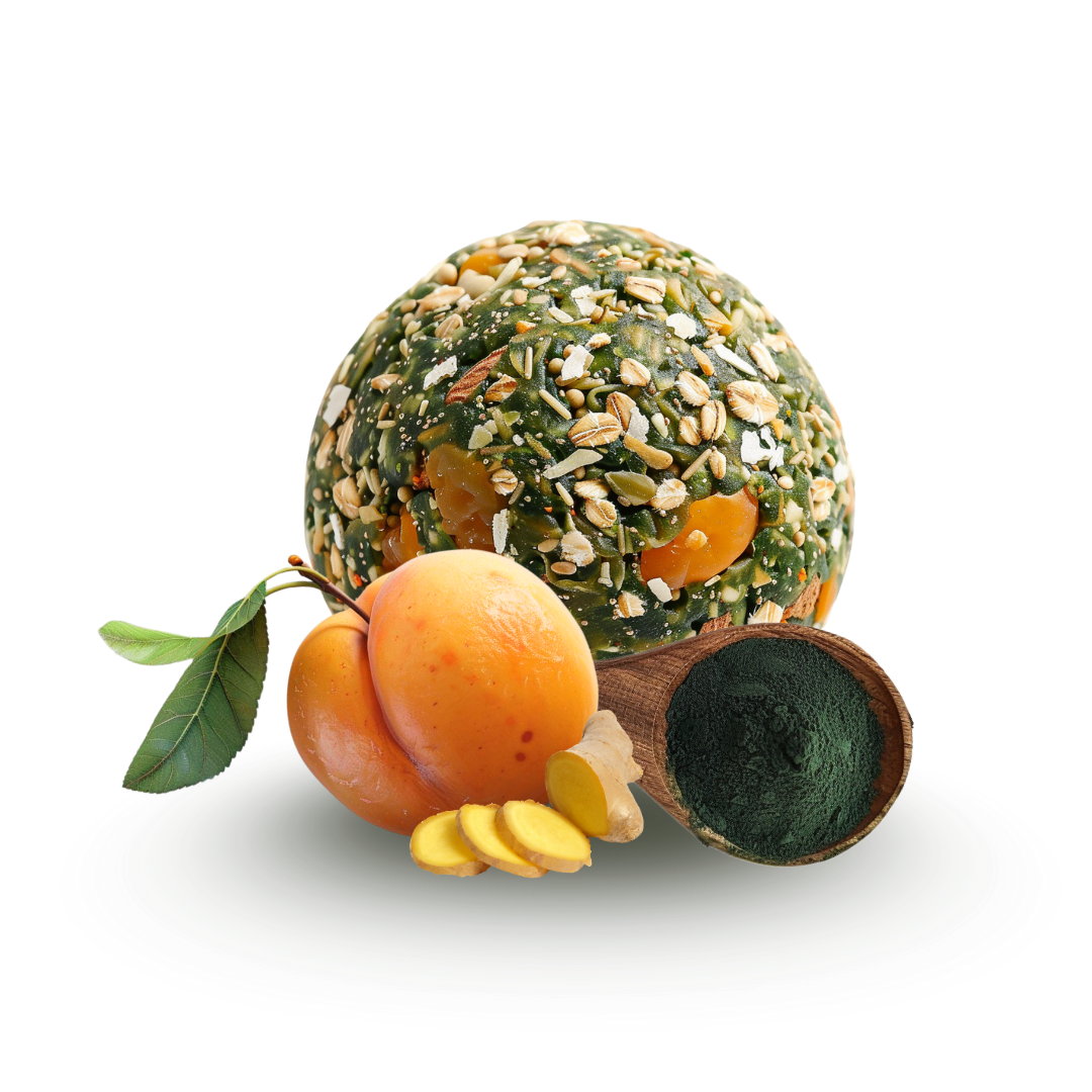 n-ttree-energy-balls-prot-in-es-abricot-gingembre-spiruline-2x15g image 1