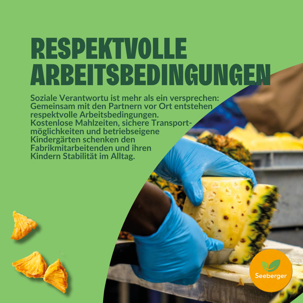 seeberger-silver-label-ananas-s-ch-6x100-g-sans-sucre-ajout image 6