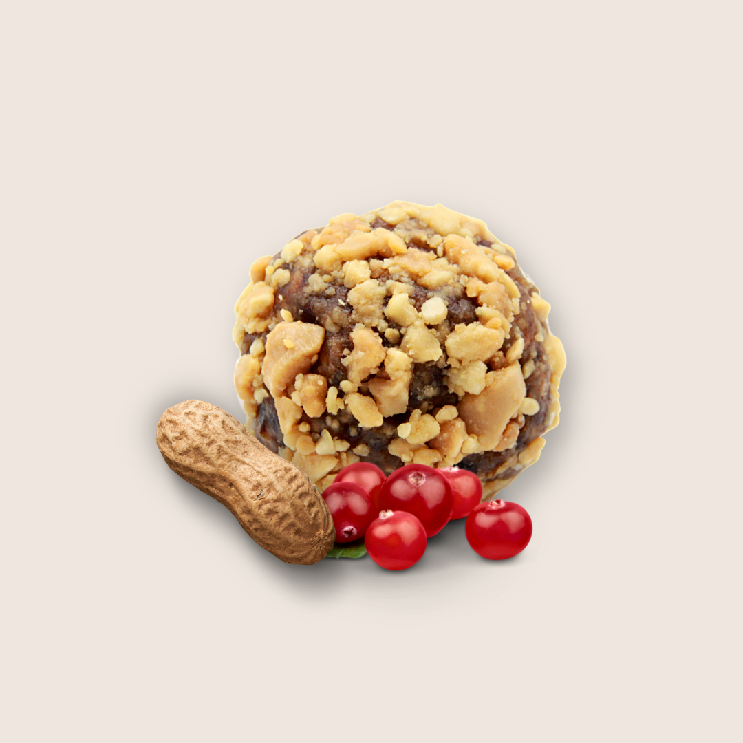 n-ttree-d-lices-energy-balls-bio-cacahu-te-cranberry-x20 image 2