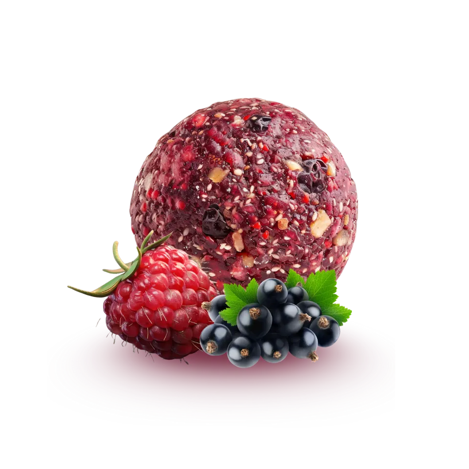 n-ttree-d-lices-energy-balls-bio-framboise-cassis-2-pcs image 1
